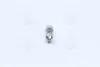Лампа софитная вспомогат. освещения C10W 12V 10W SV8.5-8 (пр-во OSRAM) Osram 6438 (фото 2)