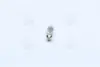 Лампа софитная вспомогат. освещения C10W 12V 10W SV8.5-8 (пр-во OSRAM) Osram 6461 (фото 4)