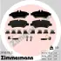 Тормозные колодки otto zimmermann gmbh 291901952