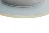 Задній гальмівний (тормозний) диск Otto Zimmermann GmbH 280316920 (фото 3)