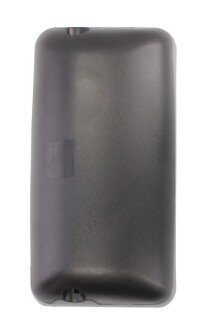 Дзеркало заднього виду pacol DAFMR022