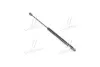 Амортизатор багажника PARTS MALL PQA249
