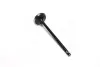 Клапан-EXH TICO (пр-во PMC-ESSENCE) PARTS MALL HCZC003E