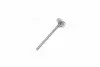 Клапан-EXHAUST/1.3-1.5SOHC ACCENT(X-3) 94-99 (пр-во PMC-ESSENCE) PARTS MALL HCZA002E (фото 4)