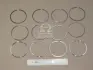 Поршневые кольца PARTS MALL HCIA100S (фото 1)
