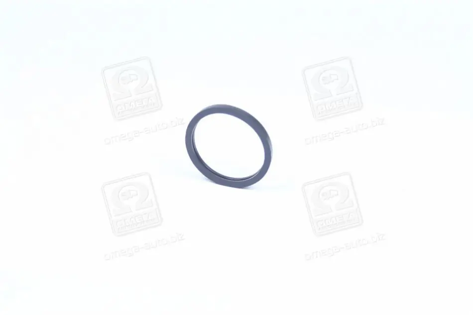 Прокладка термостата DAEWOO/CHEVROLET AVEO 1,5 8V (пр-во PARTS-MALL) PARTS MALL P1EC003