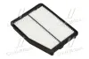 Повітряний фільтр PARTS MALL PAA090 (фото 1)