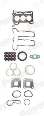 HEAD SETS + CHG MLS Payen CH7830 (фото 1)
