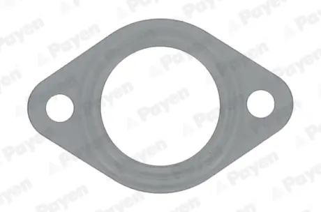 Прокладка payen JD6149 Фиат Крома 154