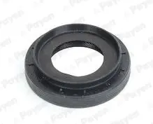 SHAFT SEAL DIFFERENTIAL payen NA5494
