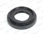 SHAFT SEAL DIFFERENTIAL payen NA5494