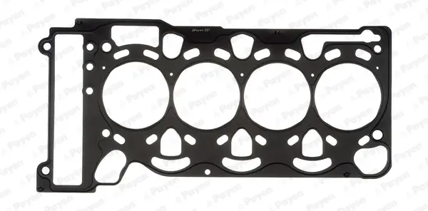 Прокладка, головка цилиндра Payen AC5440 (фото 1)
