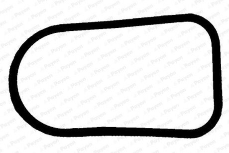 Прокладка впускного коллектора payen JD5379