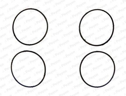 Прокладка впускного коллектора payen JD6095