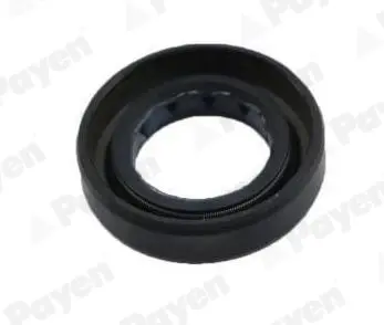 Сальник 19х32х8 Payen NJ444