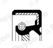 Сальник 36x52x10 payen NJ612