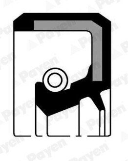 Сальник 38х52х6 payen NJ088