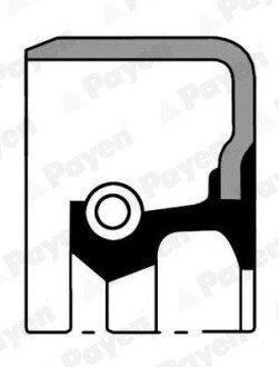 Сальник 38x58x11 payen NJ609