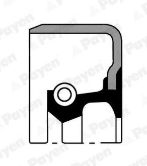 Сальник 48х62х9 payen NJ562 на Митсубиси L200