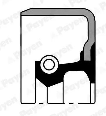 Сальник гидроусилителя руля (гура) payen NJ825