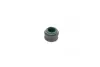 Сальник клапана EX MB OM601/OM602 9MM (вир-во PAYEN) payen PA6121