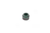 Сальник клапана EX MB OM601/OM602 9MM (вир-во PAYEN) payen PA6121