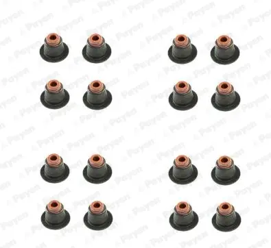 Сальник клапана (компл.) BMW N42/N46 (16PCS) (вир-во) payen HR5086