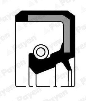 Сальник payen NK133