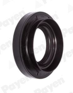 Уплотнительное кольцо payen NJ860