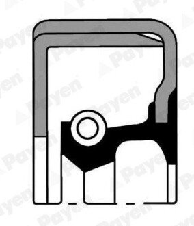 Уплотняющее кольцо payen NJ062