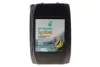 Олива моторна SYNTIUM 5000 DM 5W-30 SN (20L) PETRONAS LUBRICANTS 70957R41EU (фото 1)