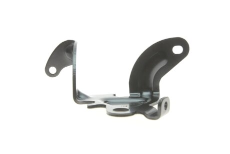 Електронiка pierburg 710102050