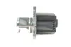Клапан EGR pierburg 703435050