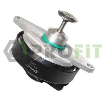 Клапан рециркуляції газів profit 40035101