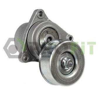 Ролик модуля натягувача ременя profit 10143595