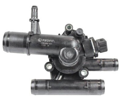 Термостат profit 17050067