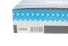 (PURFLUX) purflux A3000
