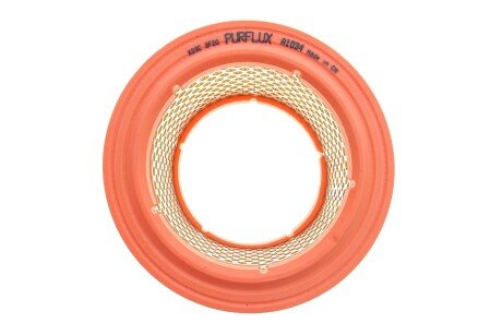 Воздушный фильтр purflux A1034