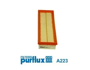 Повітряний фільтр Purflux A223 (фото 1)