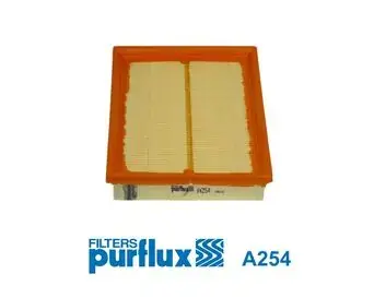 Повітряний фільтр Purflux A254 (фото 1)