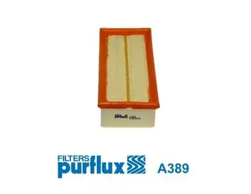 Повітряний фільтр Purflux A389 (фото 1)