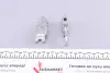 Колодки ручного (стоячого) гальма Quick Brake 12053019 (фото 2)