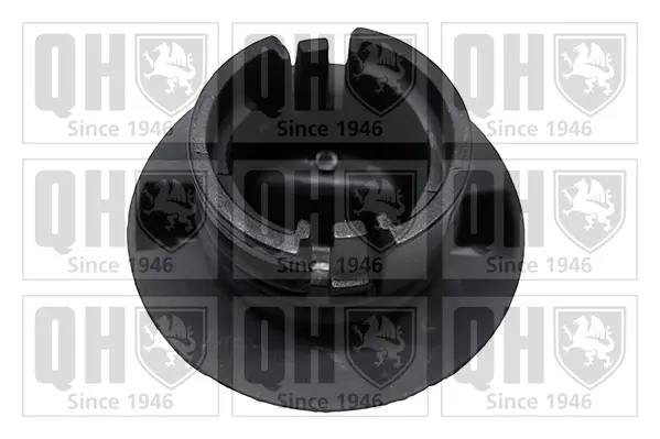 Кришка масляної горловини Quinton Hazell FC584 (фото 1)