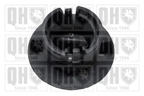Кришка масляної горловини Quinton Hazell FC584