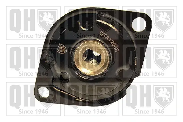 Натяжний ролик quinton hazell QTA1208S