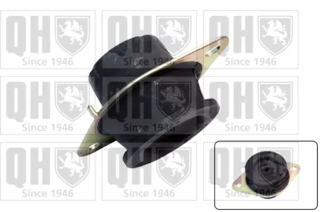Подушка (опора) двигуна Quinton Hazell EM4542