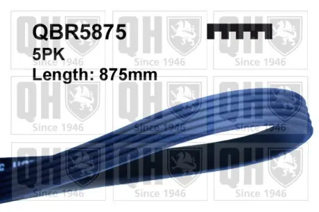 Ремiнь клиновий 5PK#875 quinton hazell QBR5875 Rover