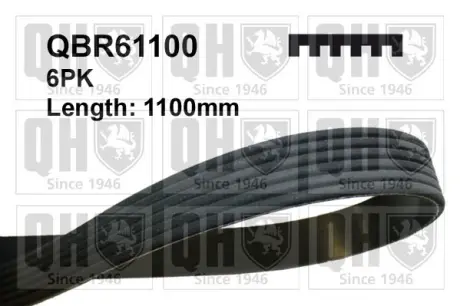 Ремiнь клиновий 6PK#1100 quinton hazell QBR61100 Infiniti