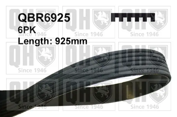 Ремiнь клиновий 6PK#925 quinton hazell QBR6925