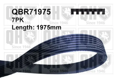 Ремiнь клиновий quinton hazell QBR71975